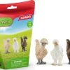 Schleich Farm World 42574 Hühnerfreunde 1 Schleich Farm World 42574 Hühnerfreunde -Schleich Geschäft schleich farm world 42574 huhnerfreunde