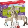 Schleich Horse Club 42430 Horse Club Hannahs Erste-Hilfe-Set 2 Schleich Horse Club 42430 Horse Club Hannahs Erste-Hilfe-Set -Schleich Geschäft schleich horse club 42430 horse club hannahs erste hilfe set
